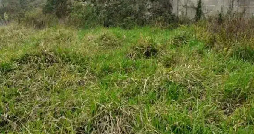 Terreno à venda, 1500 m² por r$ 200.000,00 - quinta divisão - suzano/sp