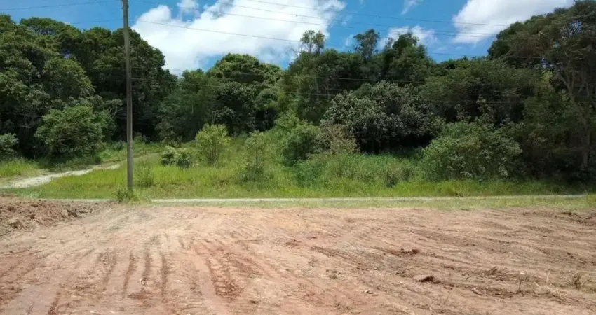 Terreno à venda, 1000 m² por r$ 250.000 - fazenda aya - suzano/sp p/ chácara ou residencia