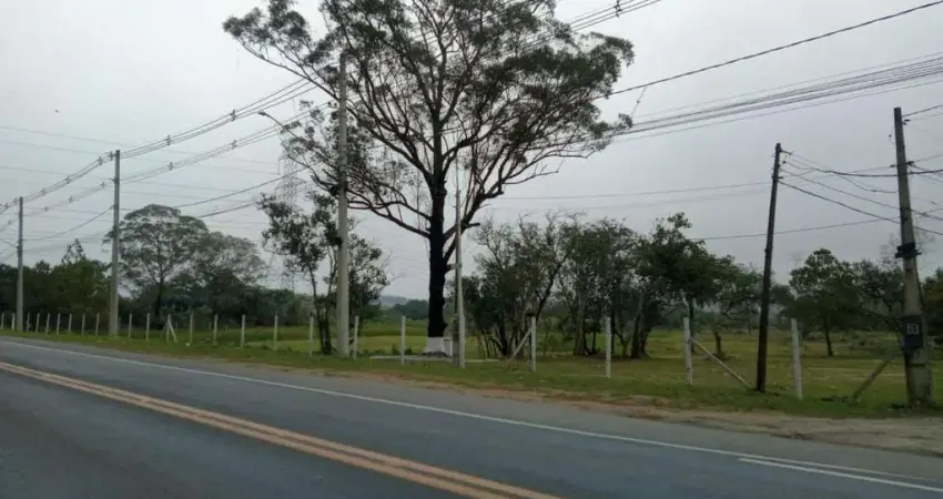 Área à venda, 42000 m² por r$ 2.940.000,00 - de frente p/ rodovia indio tibiriça - palmeiras - suzano/sp