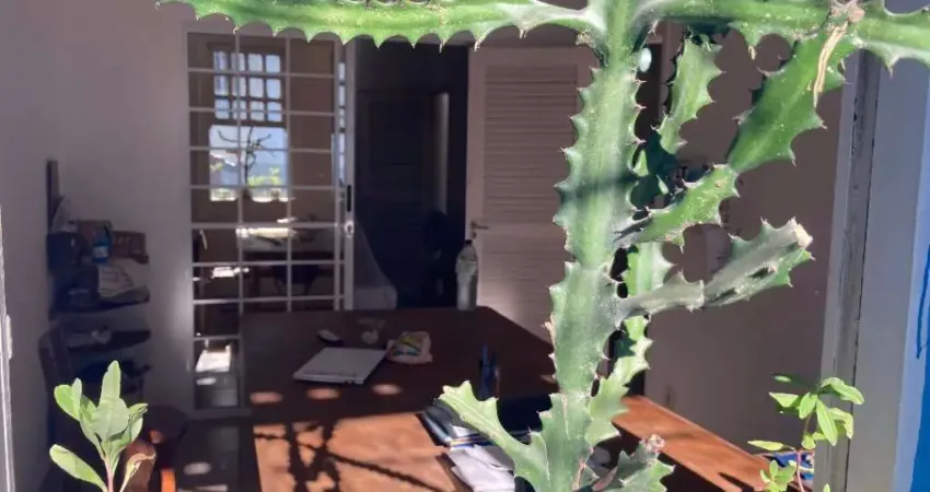 Casa com 4 quartos à venda na Luiz Alvares,, 45, Centro, Itaparica