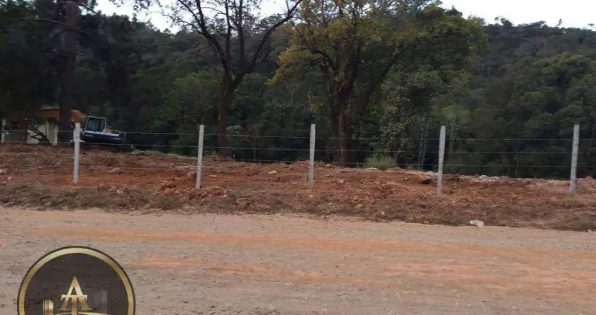 Terreno comercial para alugar na Avenida Raimundo Pereira de Magalhães, Jardim Íris, São Paulo