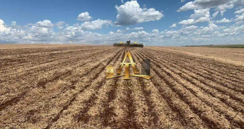 Fazenda para Venda na Região de Maracajú - Guia Lopes - MS - Confira!!!!