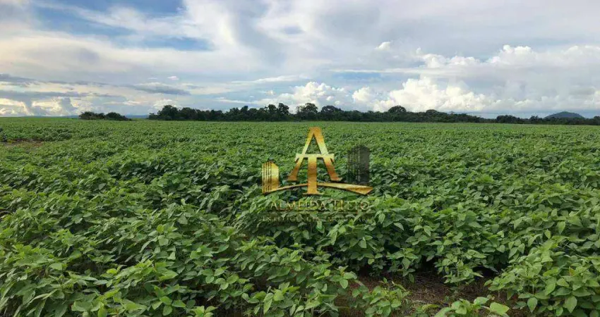 Fazenda para Venda na Região de Maracajú / Guia Lopes - MS - Confira!!!!