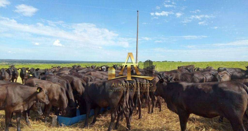 Fazenda com 1 sala à venda na Rua Antônio Maria Coelho, 13000, Centro, Bela Vista