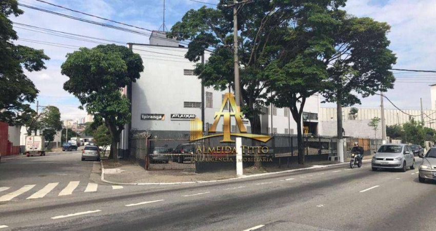 Barracão / Galpão / Depósito à venda na Avenida do Estado, Vila Califórnia, São Paulo