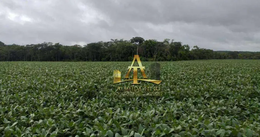 Fazenda com 1 sala à venda na Estrada Estadual MT 338, 7817, Zona Rural, Paranatinga