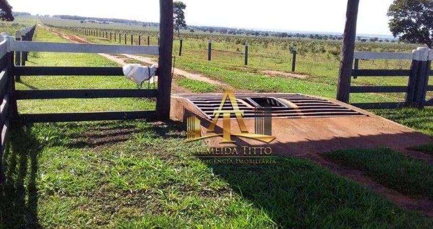 Fazenda com 1 sala à venda na Rua Rui Barbosa, 800, Zona Rural, Campo Grande