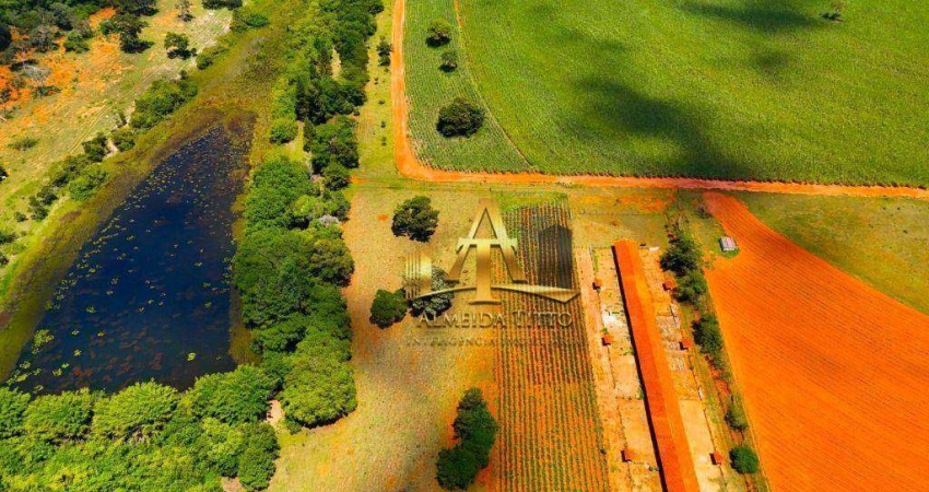 Fazenda com 1 sala à venda na Rodovia Cesário José Castilho, 107, Zona Rural, Arealva