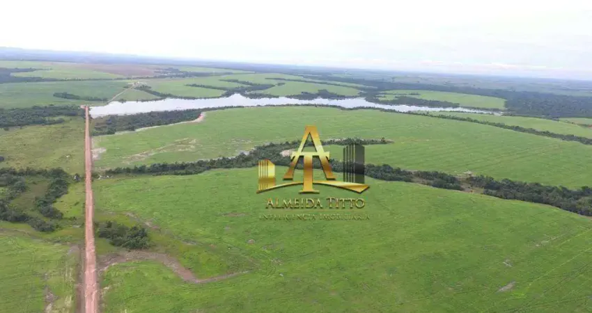 Fazenda com 1 sala à venda na Área Rural, 17125, Área Rural de Araguaína, Araguaína