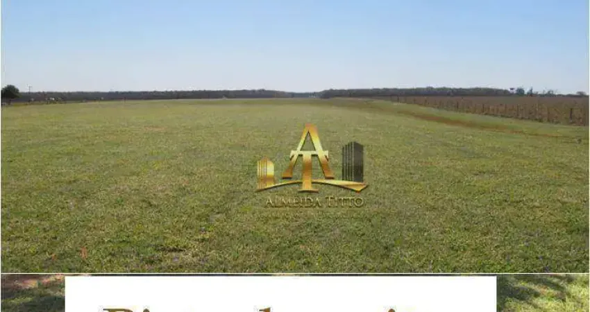 Fazenda com 1 sala à venda na Rodovia Washington Luiz, 1470, Zona Rural, Rancharia