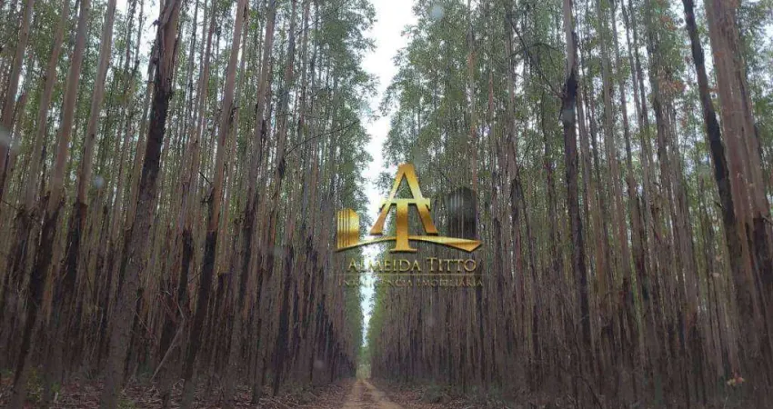 Fazenda à venda - Zona Rural - Brasilândia de Minas/MG