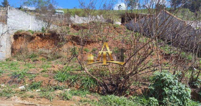 Terreno à venda, 650 m² por R$ 223.000,00 - Recanto Maravilha III - Santana de Parnaíba/SP