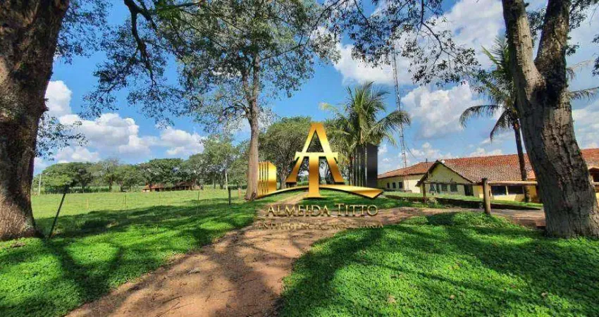 Fazenda com 1 sala à venda na Rua  Almirante Barroso, 469, Zona Rural, Serra Azul