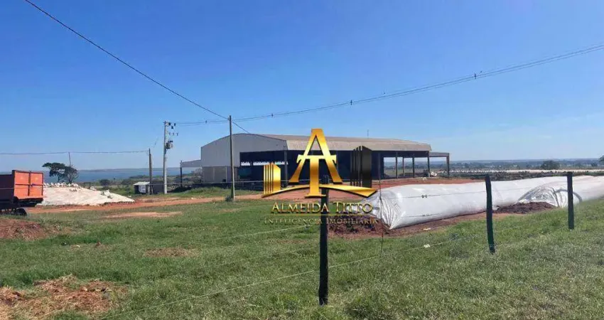 Fazenda com 1 sala à venda na Rua Dois, 450, Centro, Rubinéia