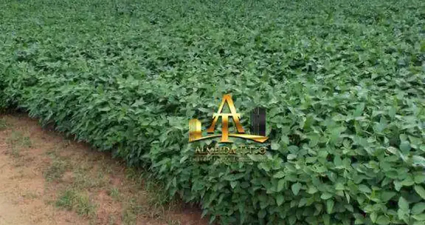 Fazenda com 1 sala à venda na Área Rural, 454, Área Rural de Marília, Marília