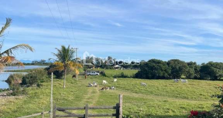 Fazenda à venda no Farol de São Thomé, Campos dos Goytacazes 