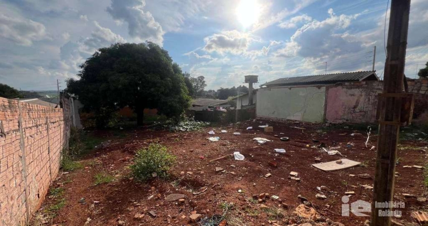 Terreno à venda, 300 m² por R$ 100.000,00 - Jardim Novo Horizonte - Rolândia/PR