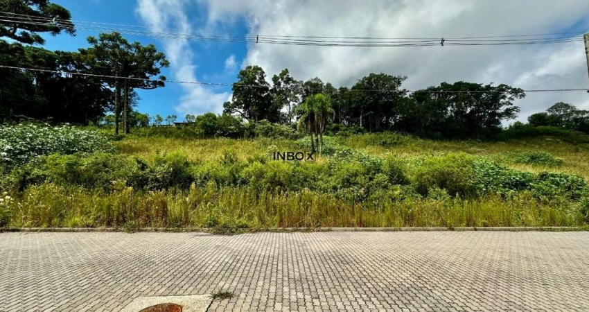 Terreno à venda na Rua José Benedetti, 67, Industrial, Bento Gonçalves