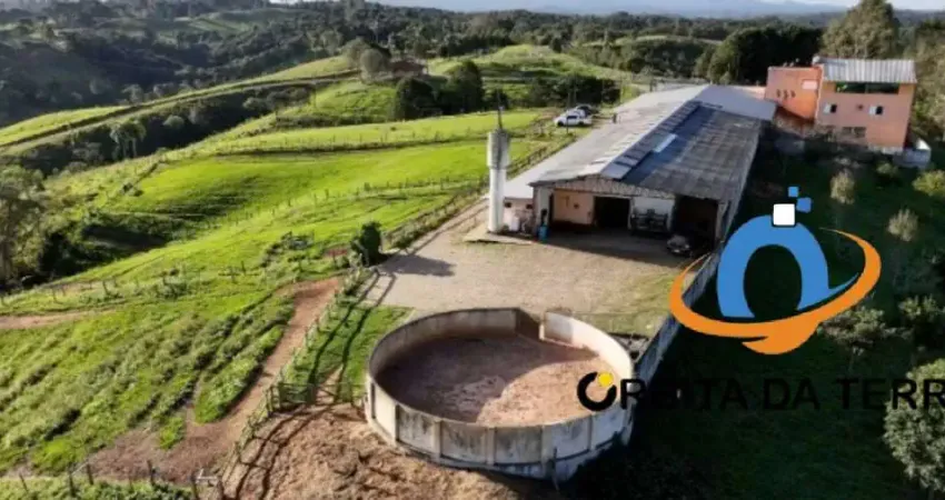 Haras de luxo à venda em Tijucas do Sul-PR, 52 alqueires de área. Casa Sede 1.000m2, 6 casas de funcionários, 29 cocheiras