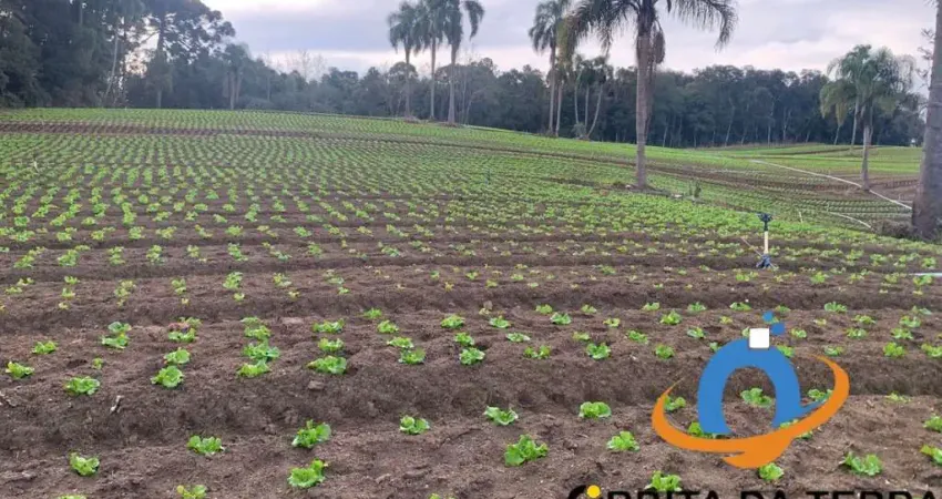 Terreno à venda em Curitiba-PR, bairro Umbará, com 21.000,00 m² de área - Imperdível oportunidade no Umbará!
