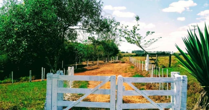 Sítio / Chácara para Venda em Torrinha, Torrinha, 3 dormitórios, 3 banheiros