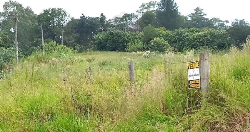 Terreno à venda na Floresta Escura, São Pedro 