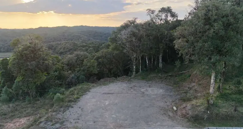 Chácara em condomínio à venda | com fácil acesso | segura | recanto das hortênsias | com 24.511 m² - borda do campo - são josé dos pinhais/pr