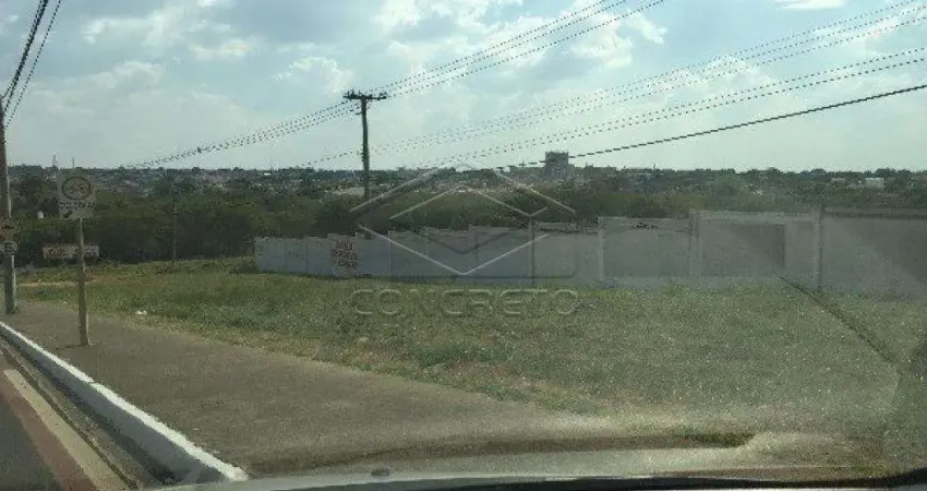 Casa para alugar no Jardim Estoril, Bauru 