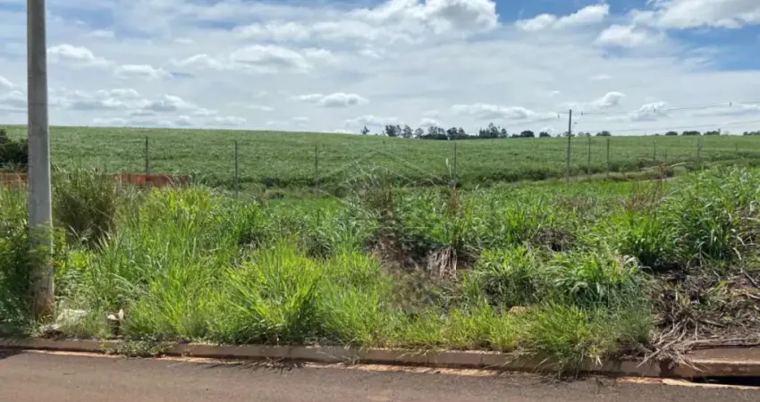 Casa à venda no Residencial Campo Belo, Jaú 