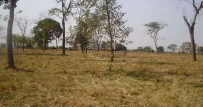 Casa à venda na Vila São Paulo, Bauru 