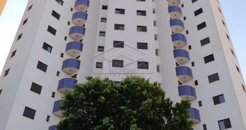 Lindo Spazio Sul - Andar Alto!