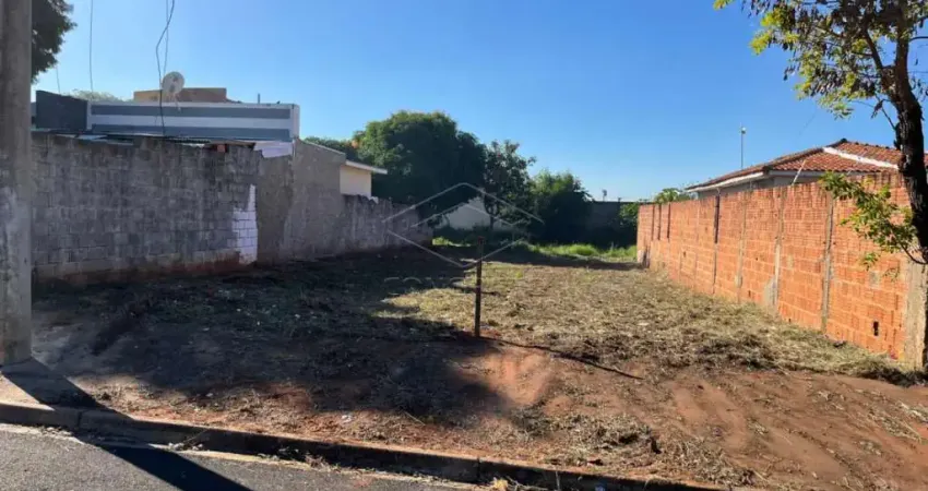 Casa à venda no Jardim Terra Branca, Bauru 