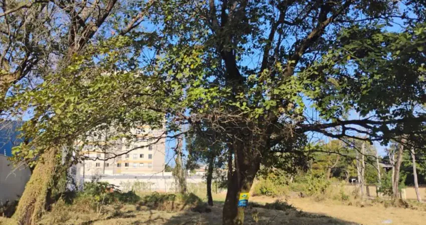 Casa à venda no Jardim Colonial, Bauru 