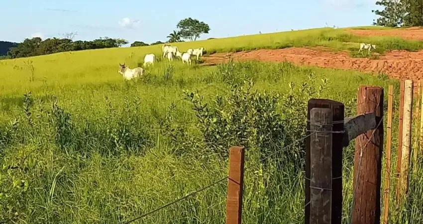 Prédio à venda na Zona Rural, Avaí 