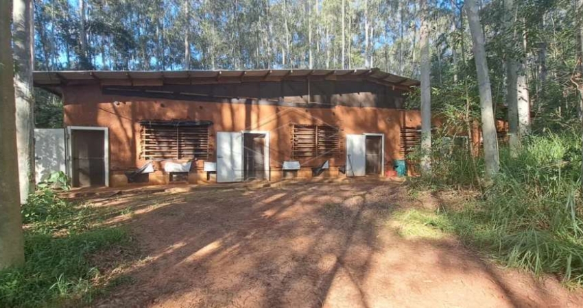 Área rural com 6 alqueires - Estância - Cachoeirinha