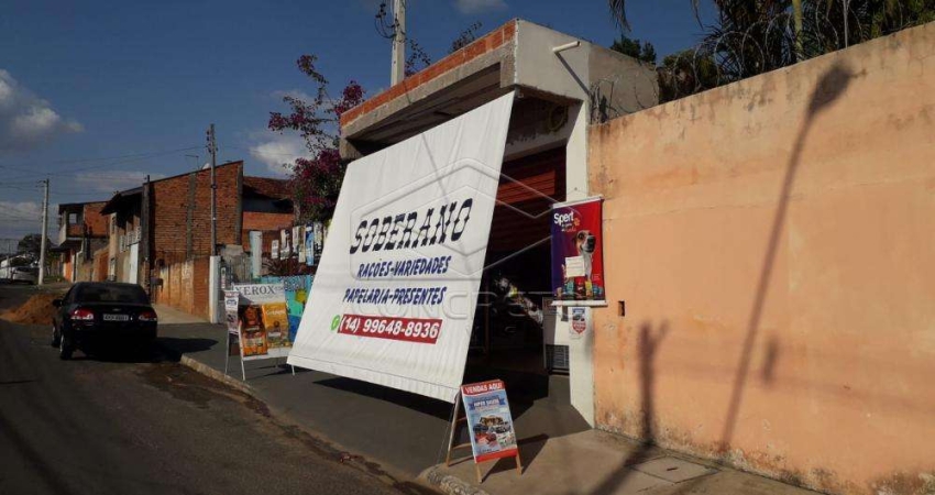 Casa com 3 quartos à venda na Vila Santa Cecilia, Agudos 