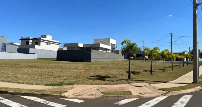 EXCELENTE LOTE - TAMBORÉ