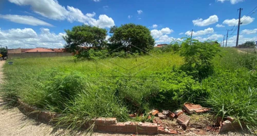 Terreno Padrão em Jaú