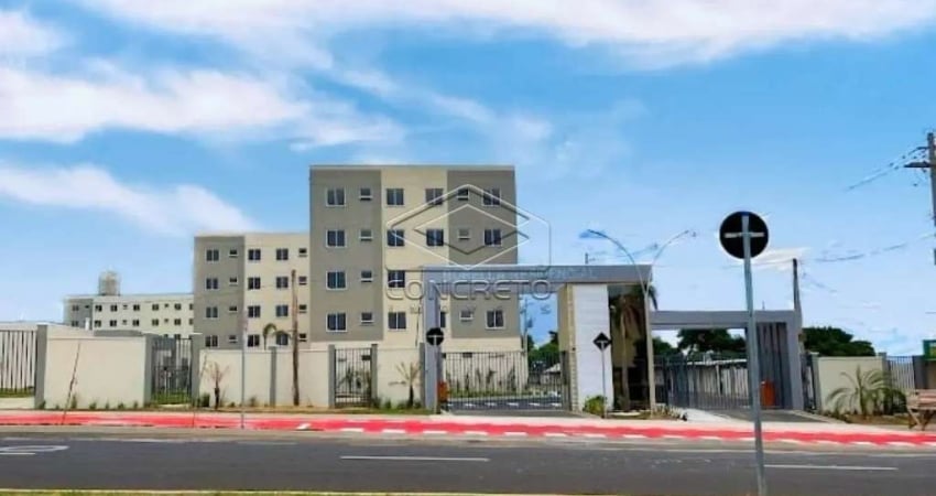 LINDO APARTAMENTO COM QUINTAL - BORELLA