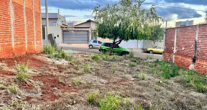 Terreno pronto para construir, muro em todos os lados.