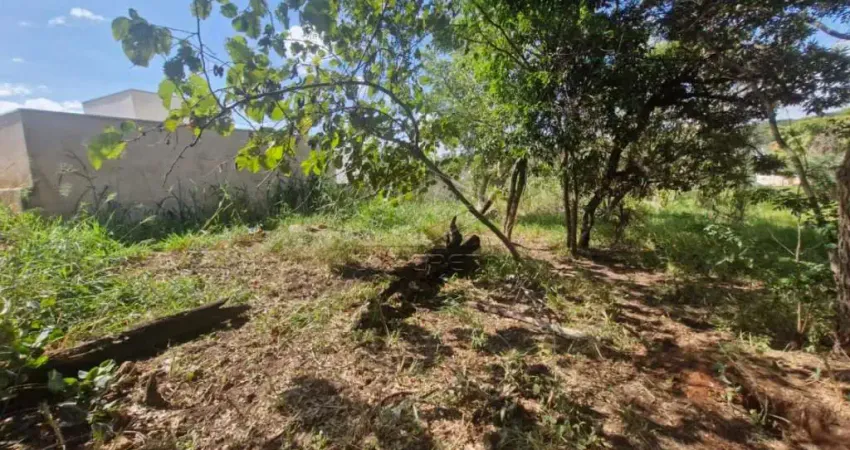 Terreno - Jardim Nicéia