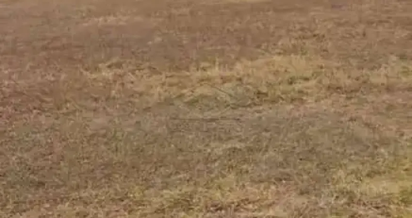 Terreno à venda no Alphaville, Bauru 