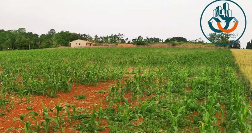 Terreno para Venda em Ponta Grossa, Chapada