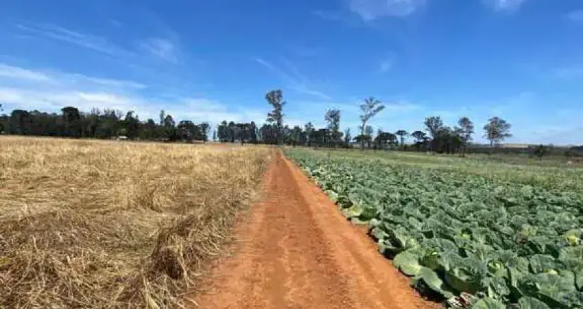 Terreno à venda na Rua Bernardo Guimarães, Colônia Dona LuÍza, Ponta Grossa