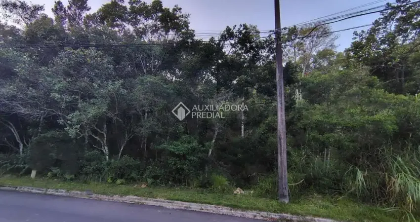 Terreno à venda na Rua Waldemar Figueiró, 63, João Paulo, Florianópolis