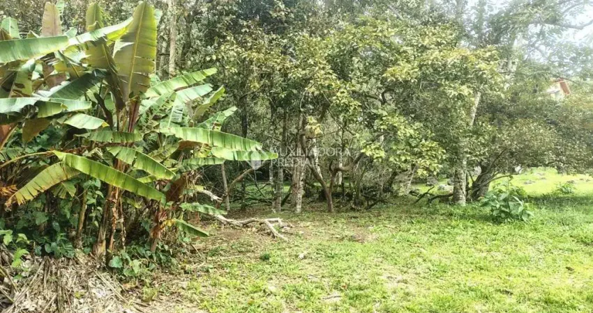 Terreno à venda na Servidão da Figueira Velha, 28, Córrego Grande, Florianópolis