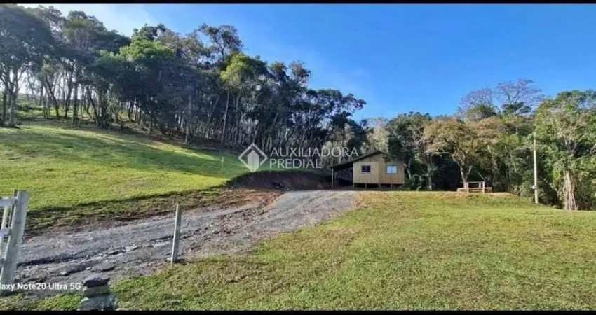 Fazenda à venda na Geral Lomba Alta, 01, Lomba Alta, Alfredo Wagner