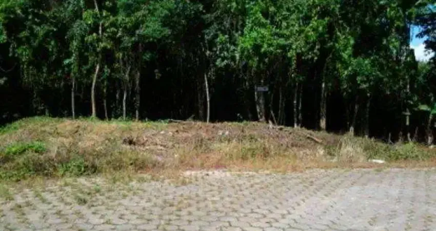 TERRENO no PETRÓPOLIS com 0 quartos para VENDA, 10994 m²