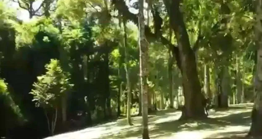 Terreno à venda no Rio Vermelho, Campo Alegre