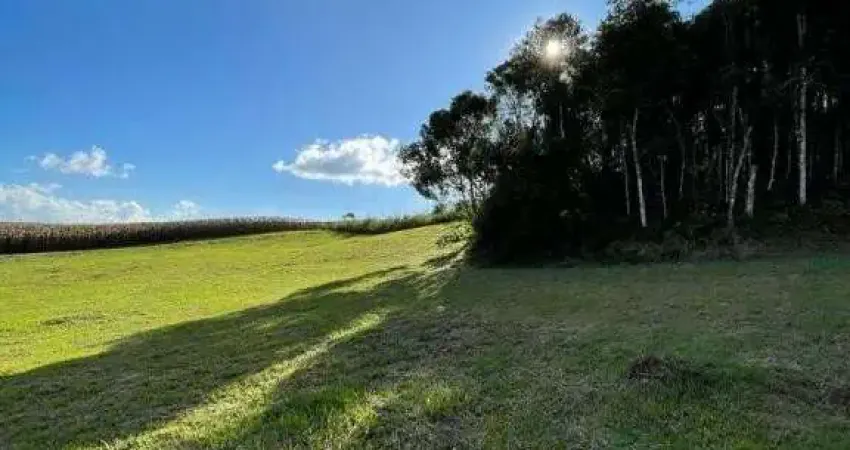 Terreno à venda no Lageado, Campo Alegre 